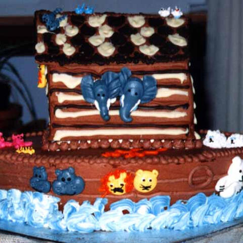 Animals